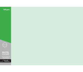Treeline Manilla Tag Folders Pack of 100 Pastel Green
