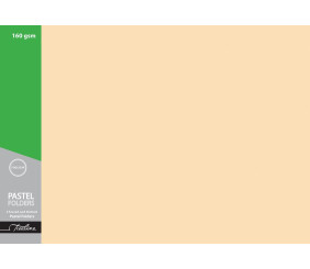 Treeline Manilla Tag Folders Pack of 100 Pastel Orange