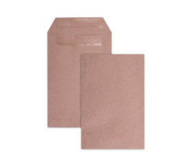 LEO Plain Wage Gummed Envelopes Box of 500