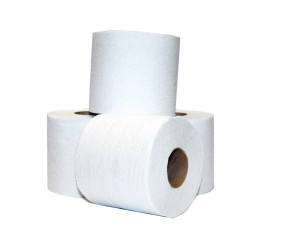Toilet Roll 2 Ply - Pack of 4